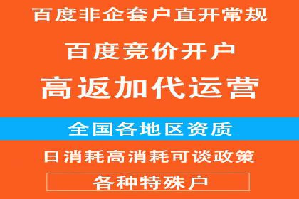 竞价代运营成功案例分享：提升广告点击率的关键